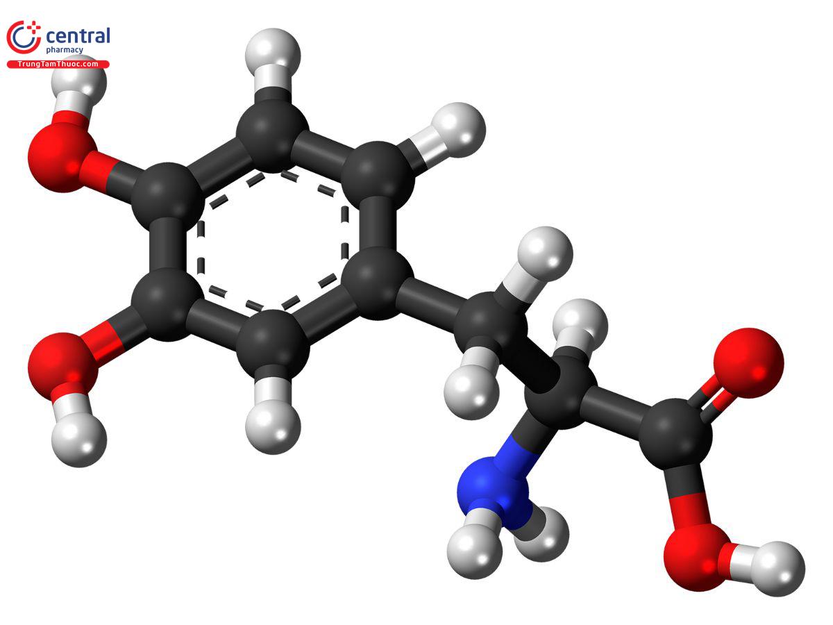 Levodopa