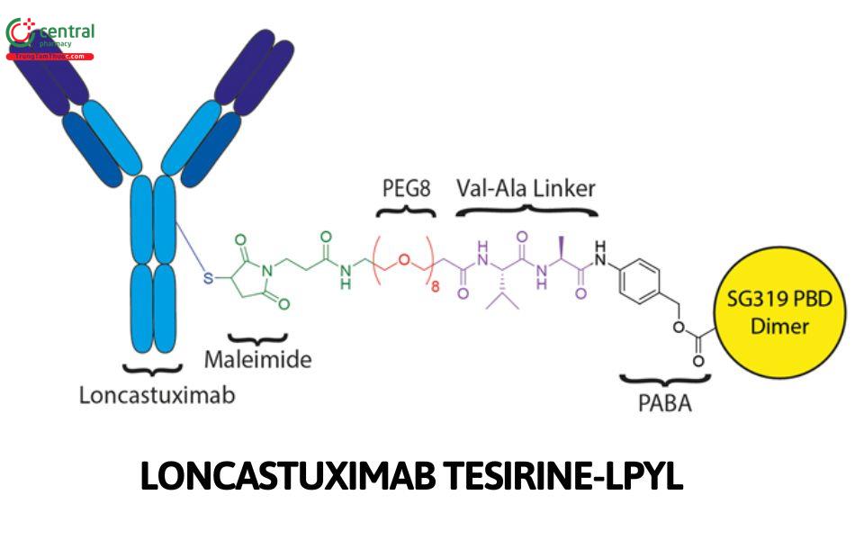 Loncastuximab Tesirine-lpyl