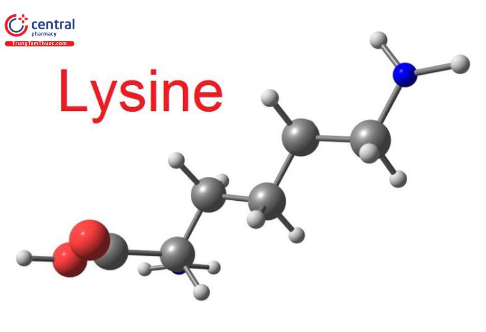 Lysine