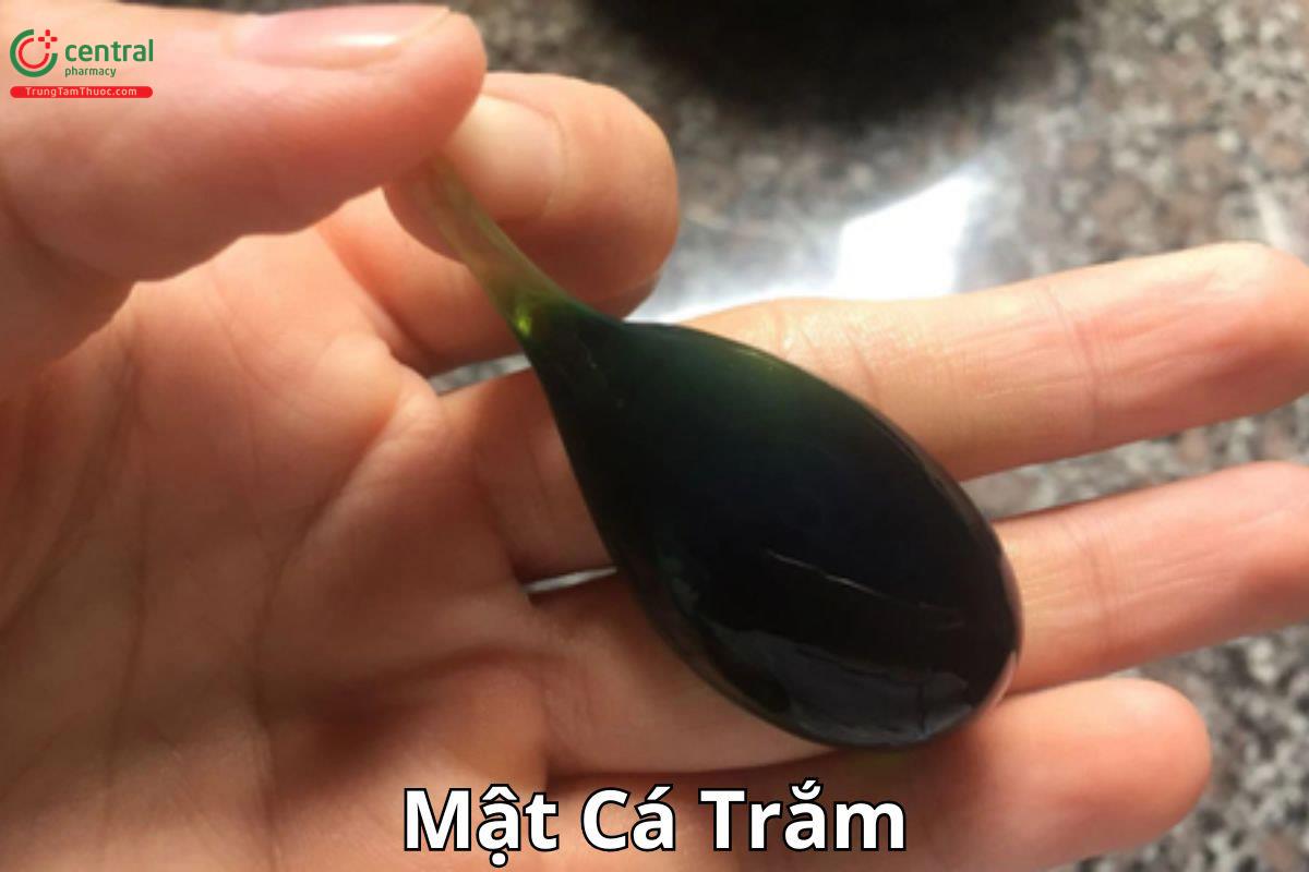 Mật Cá Trắm