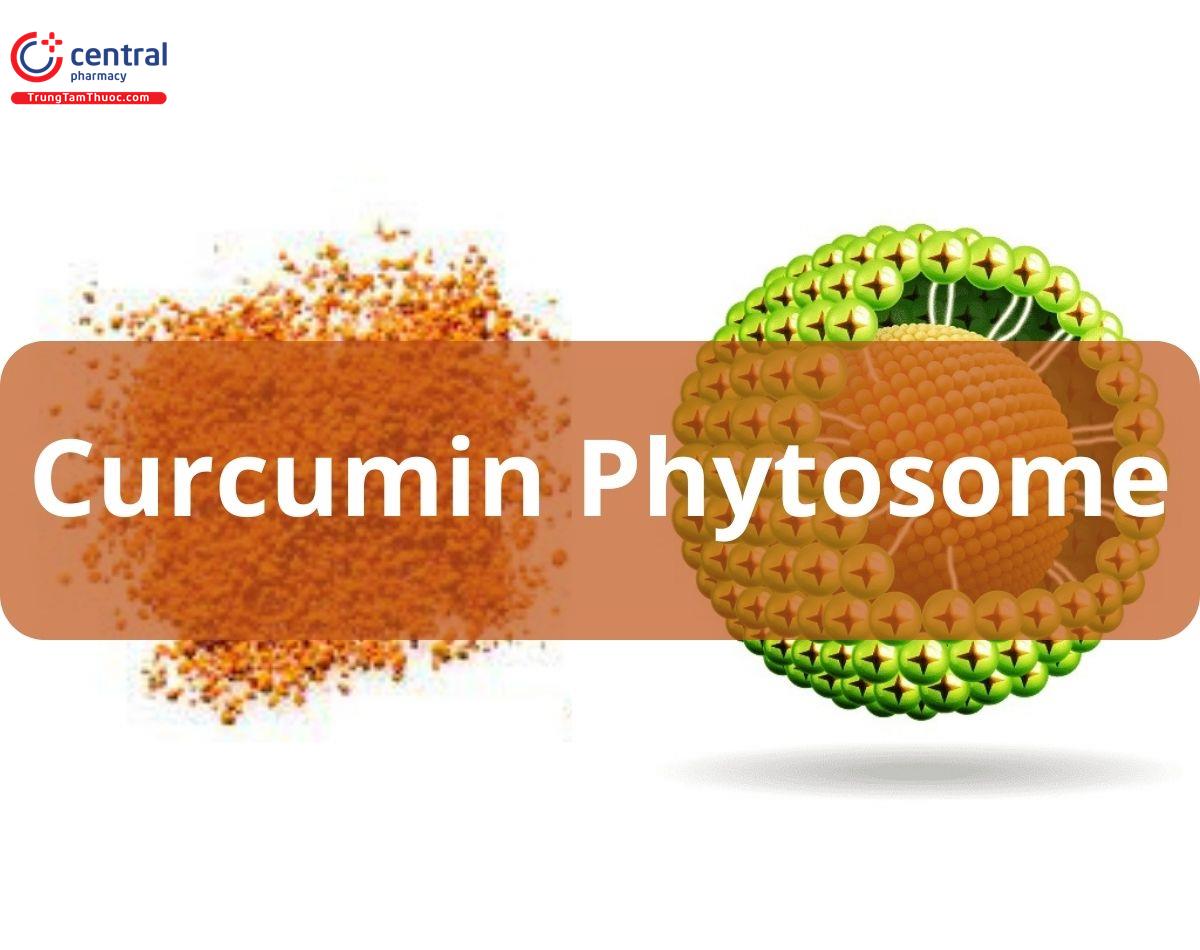 Curcumin Phytosome (Meriva)