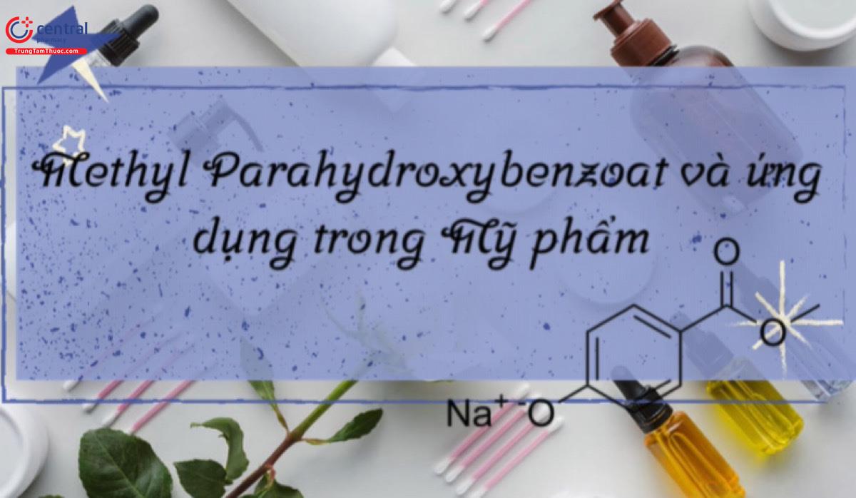 Methyl Parahydroxybenzoat (Methylparaben)