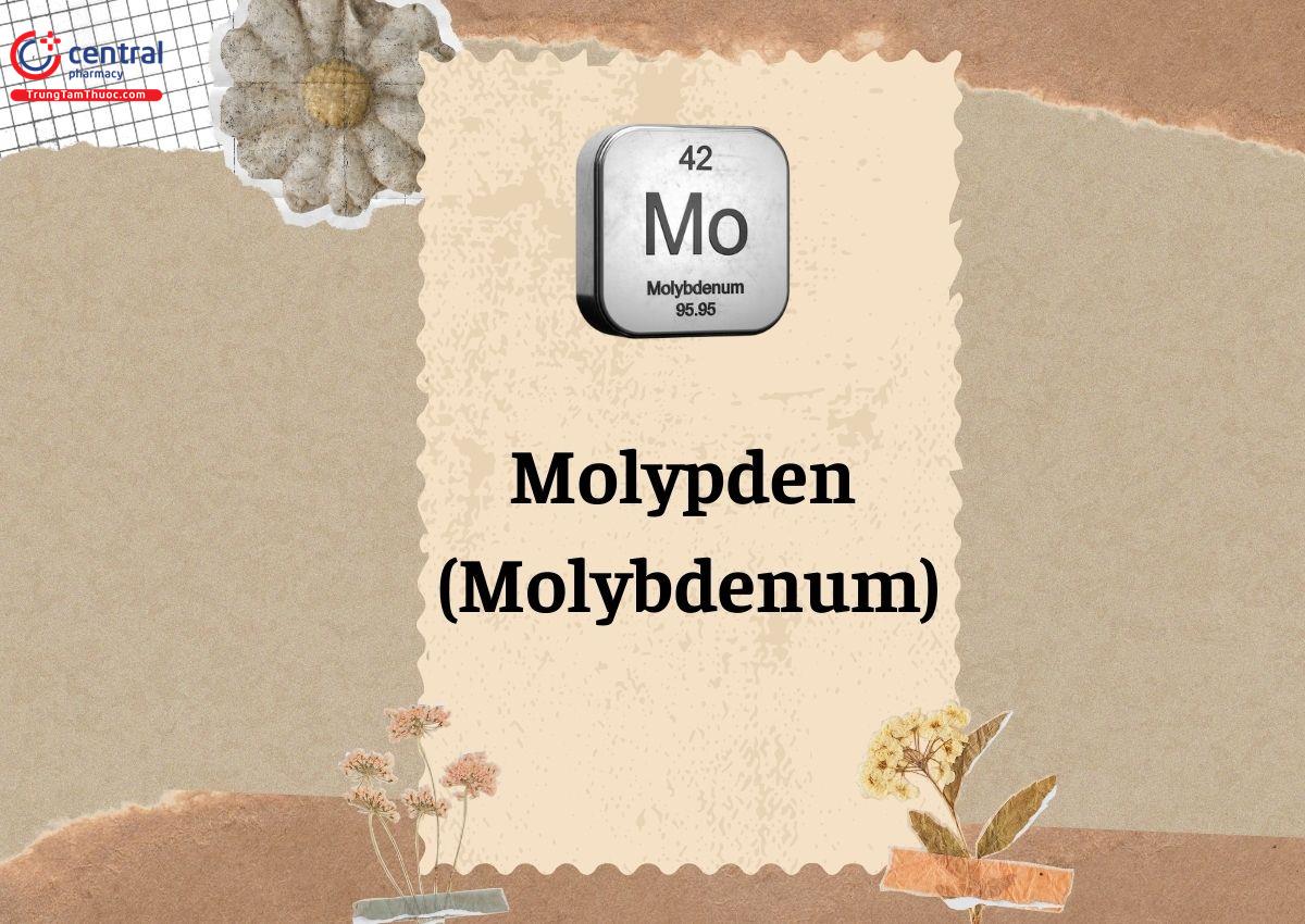 Molypden (Molybdenum) 