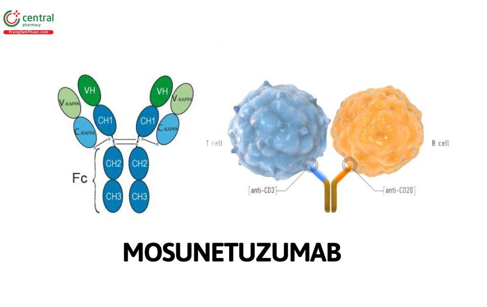 Mosunetuzumab