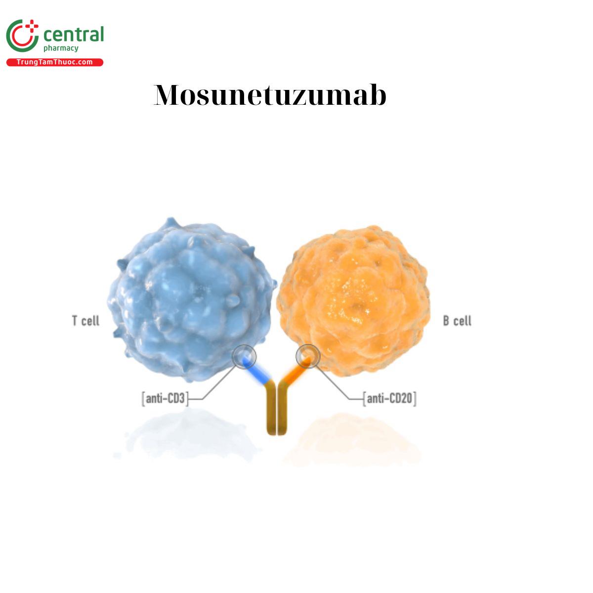 Mosunetuzumab