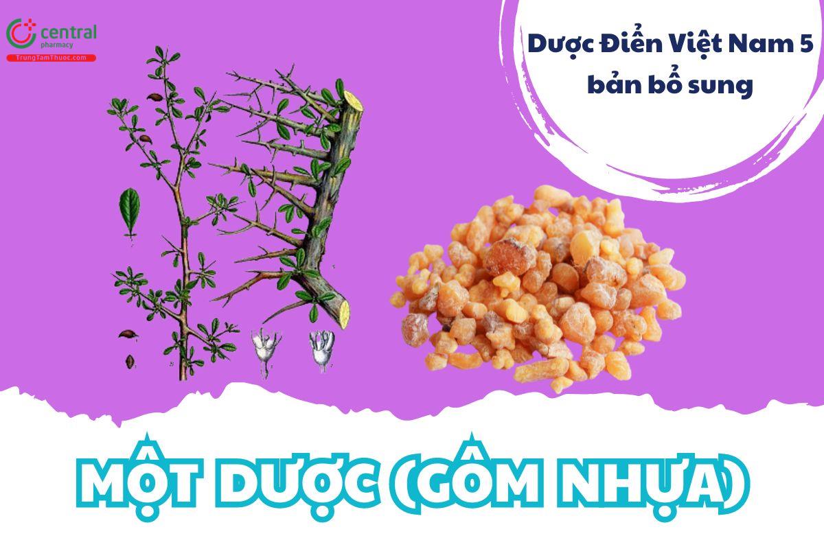 Một Dược (Gôm nhựa)