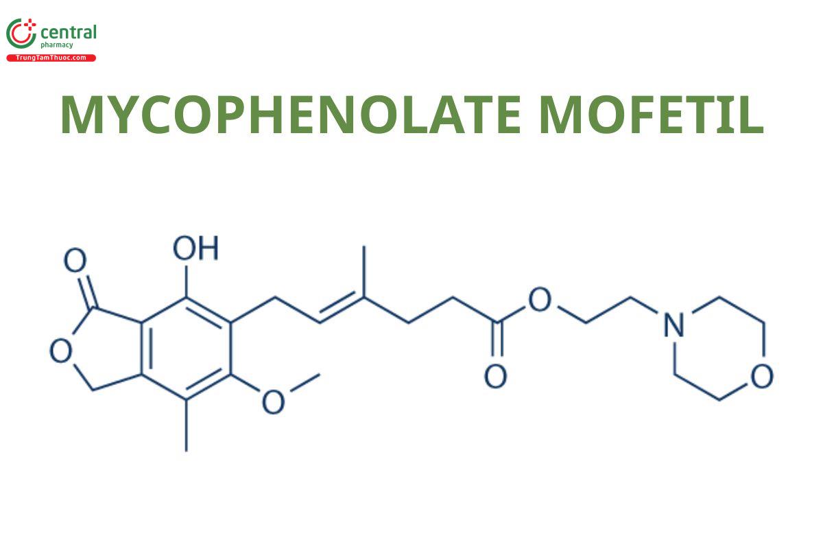 Mycophenolate Mofetil