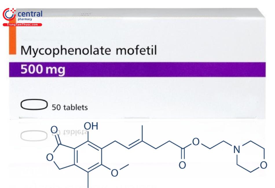 Mycophenolate Mofetil