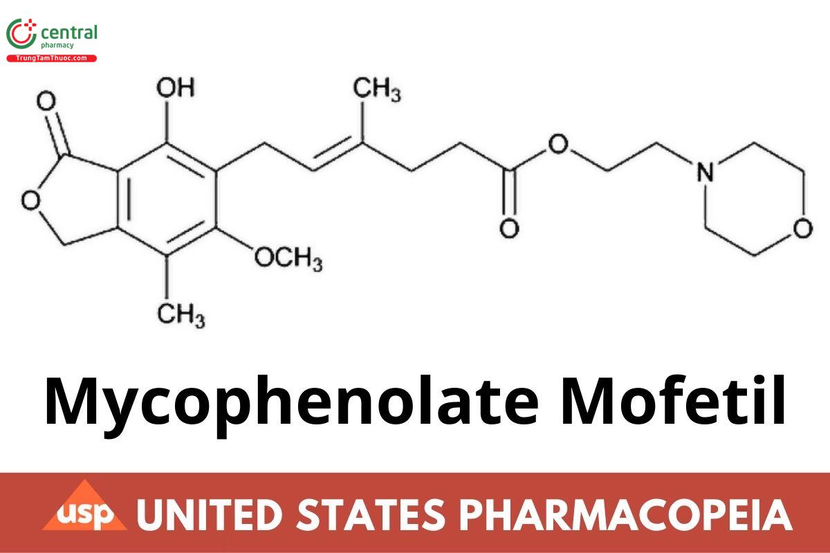 Mycophenolate Mofetil