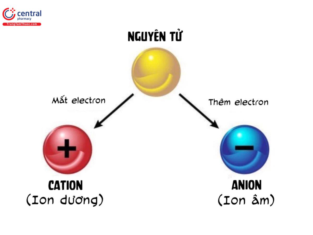 Negative ion (Ion âm)