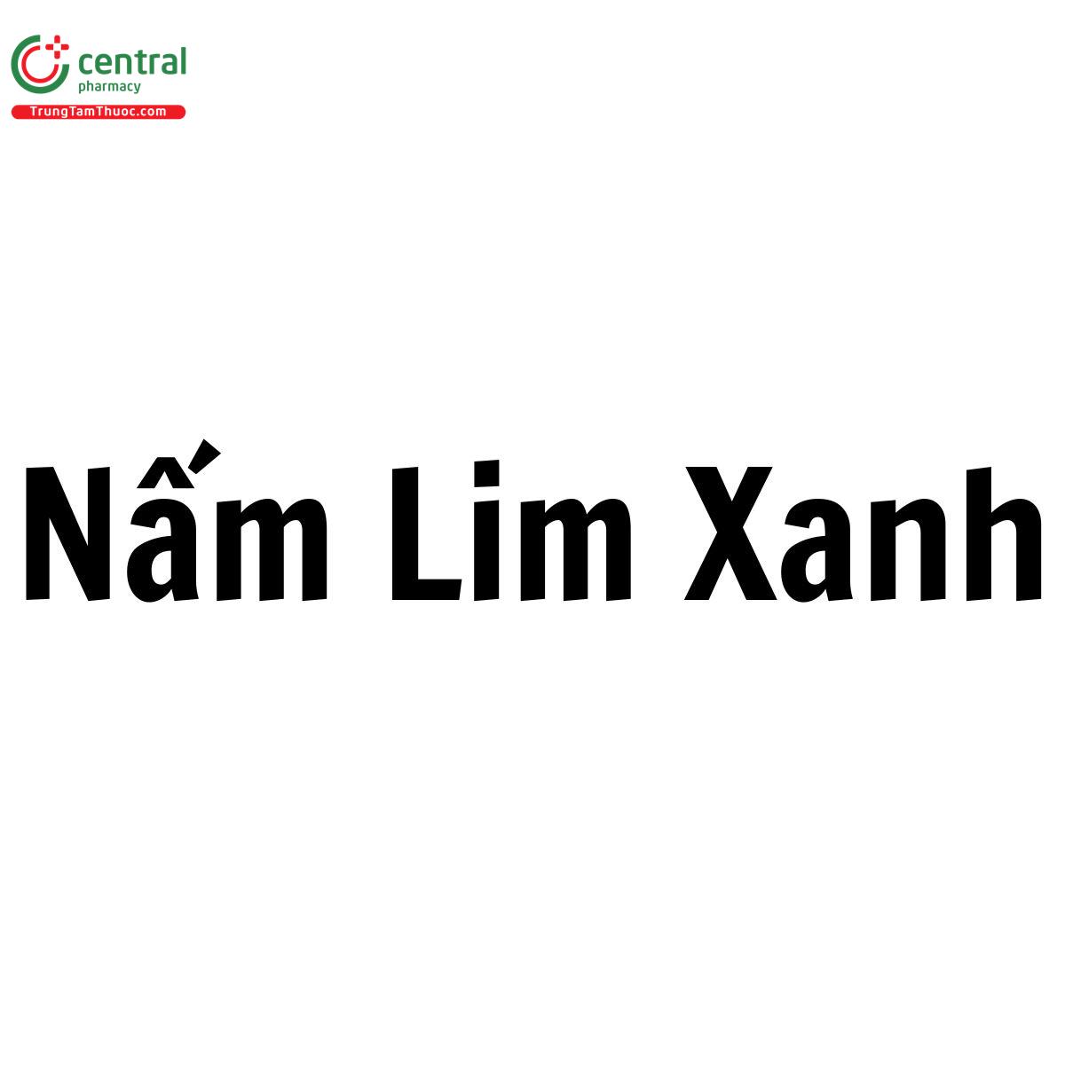 Nấm Lim Xanh