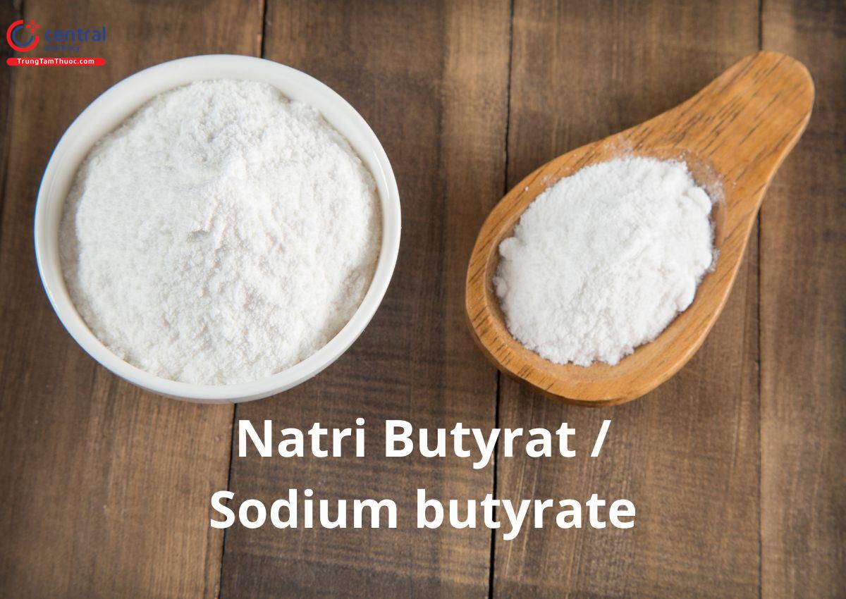 Natri Butyrat (Sodium Butyrate)