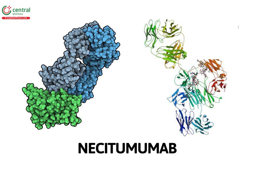 Necitumumab