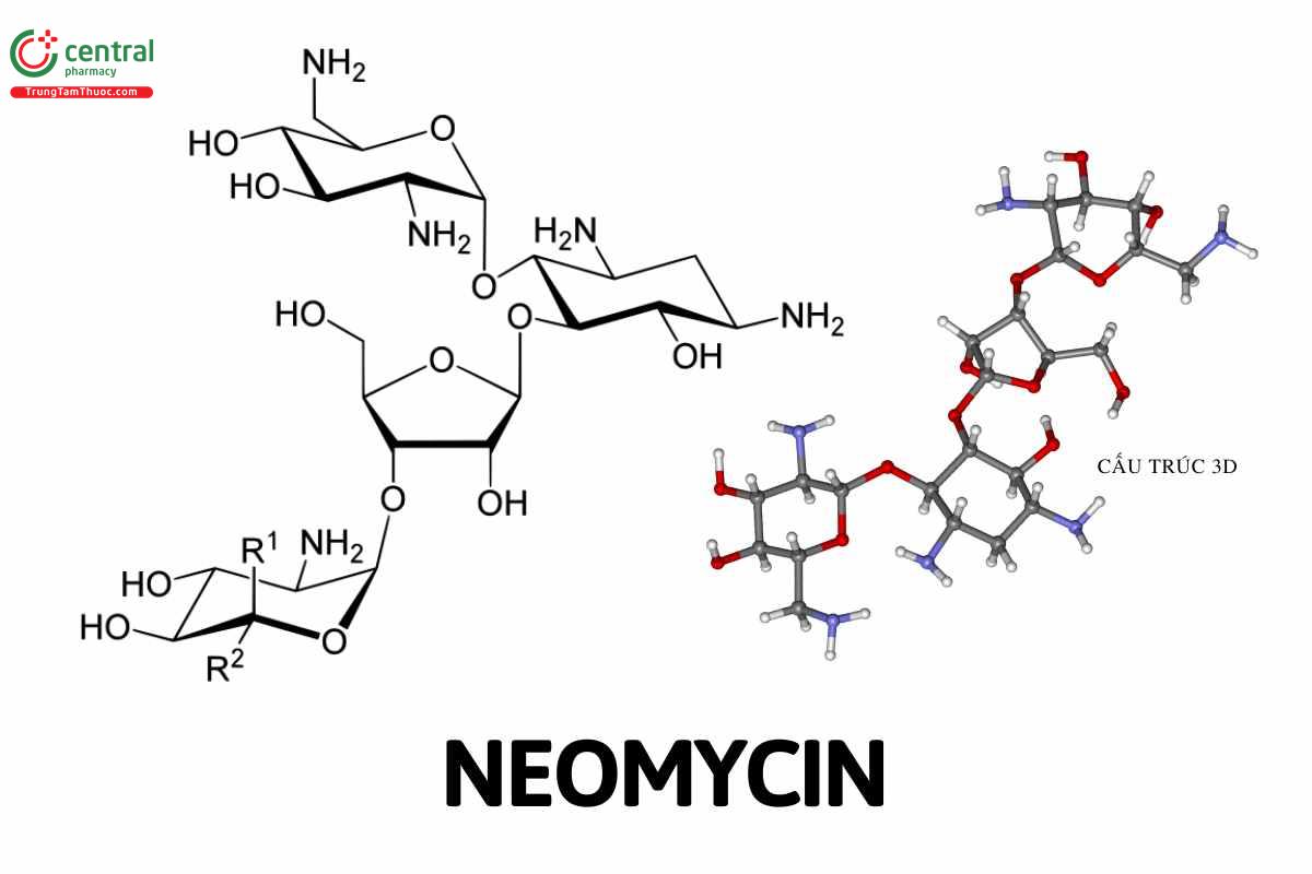 Neomycin