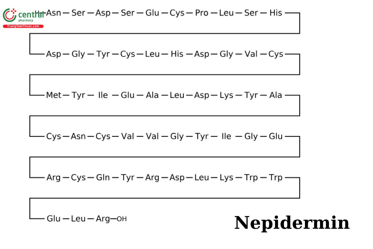 Nepidermin