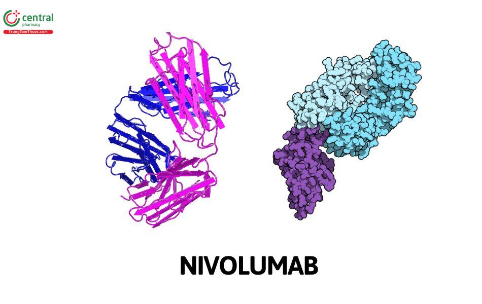 Nivolumab