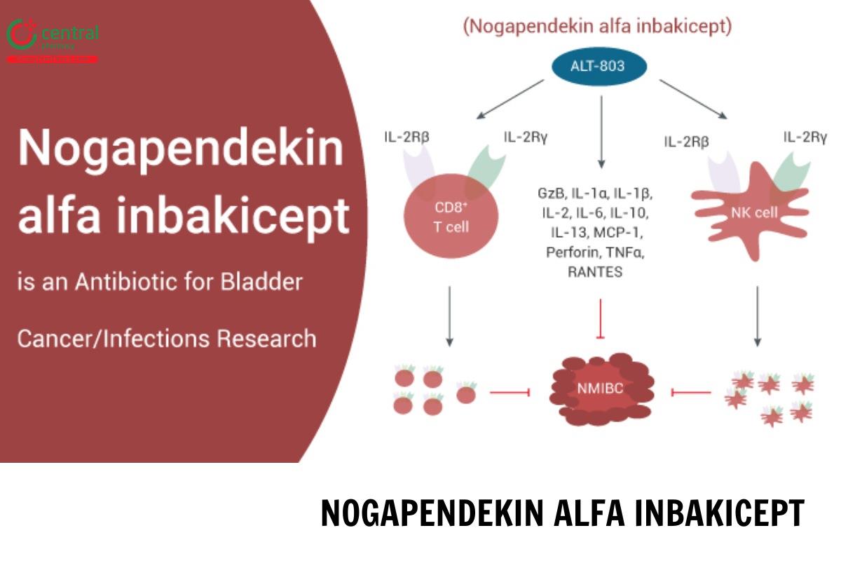 Nogapendekin alfa inbakicept