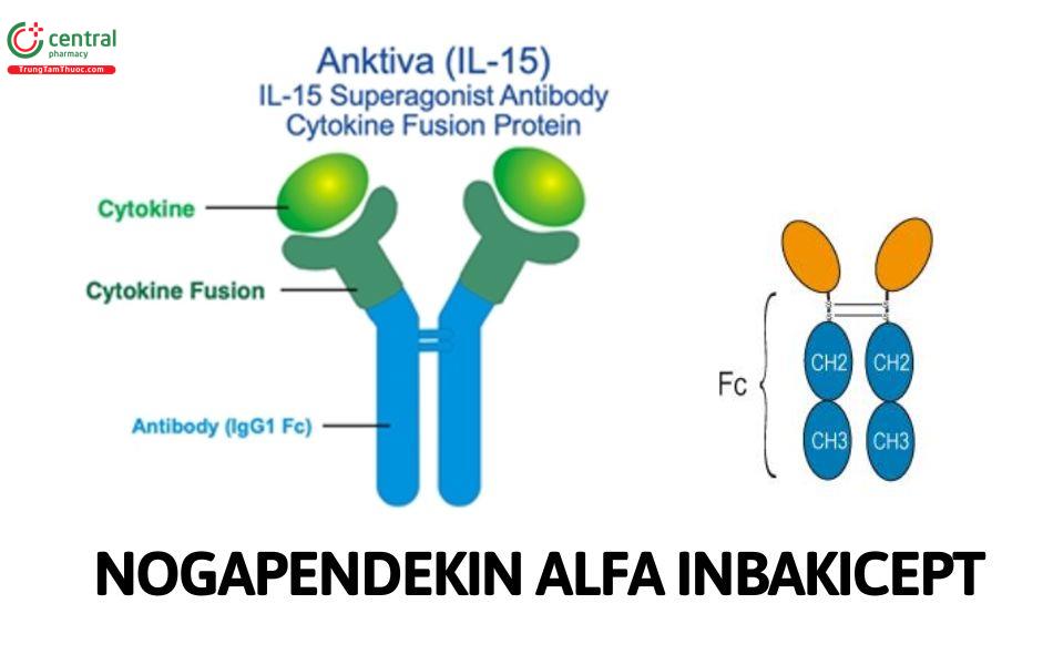 Nogapendekin alfa inbakicept