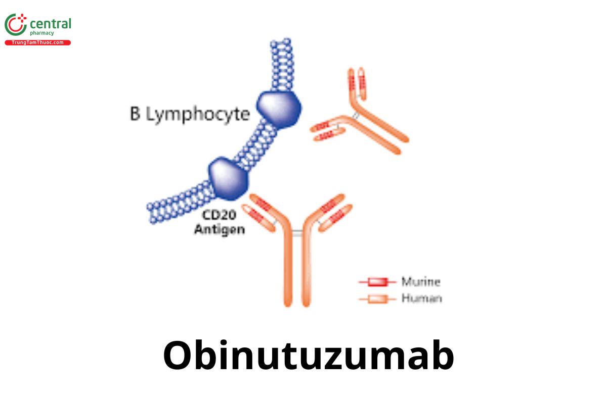 Obinutuzumab