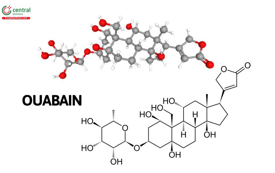 Ouabain