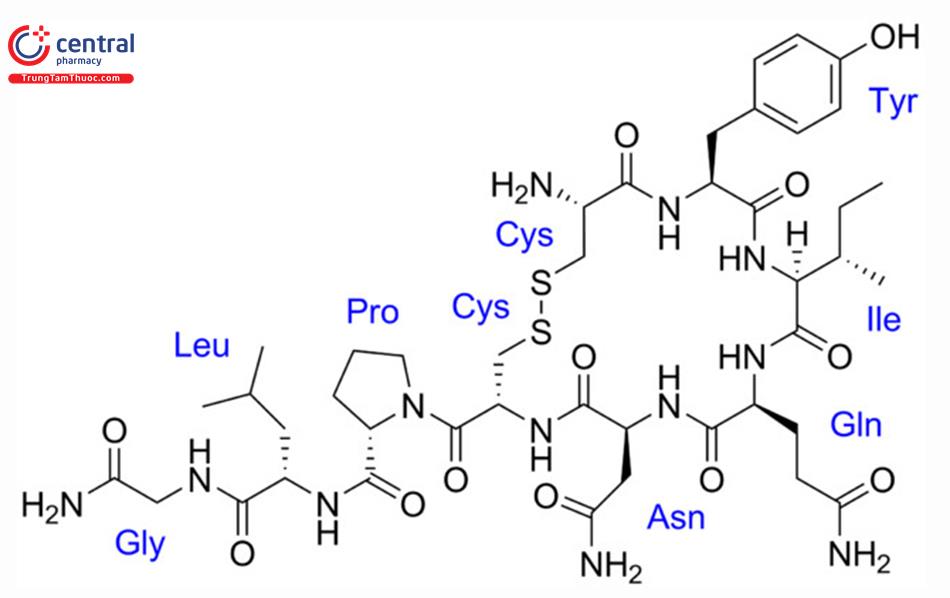 Oxytocine