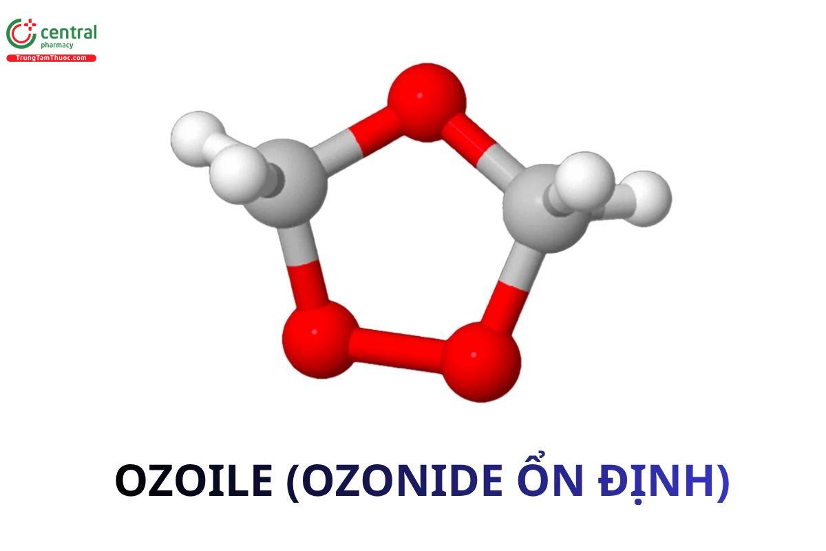 Ozoile