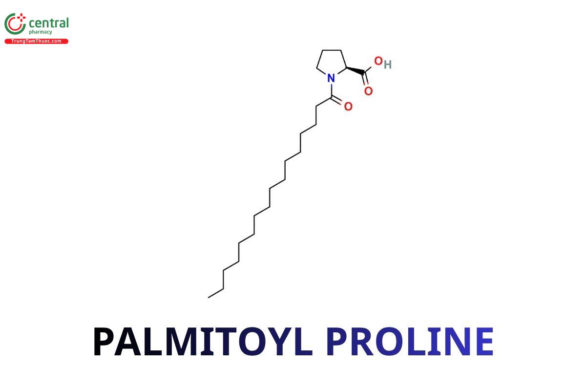 Palmitoyl Proline