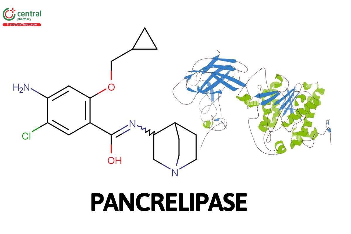 Pancrelipase