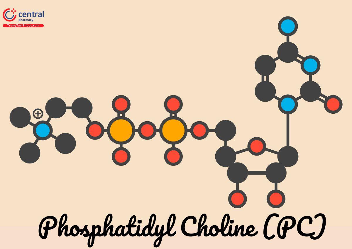 Phosphatidyl choline