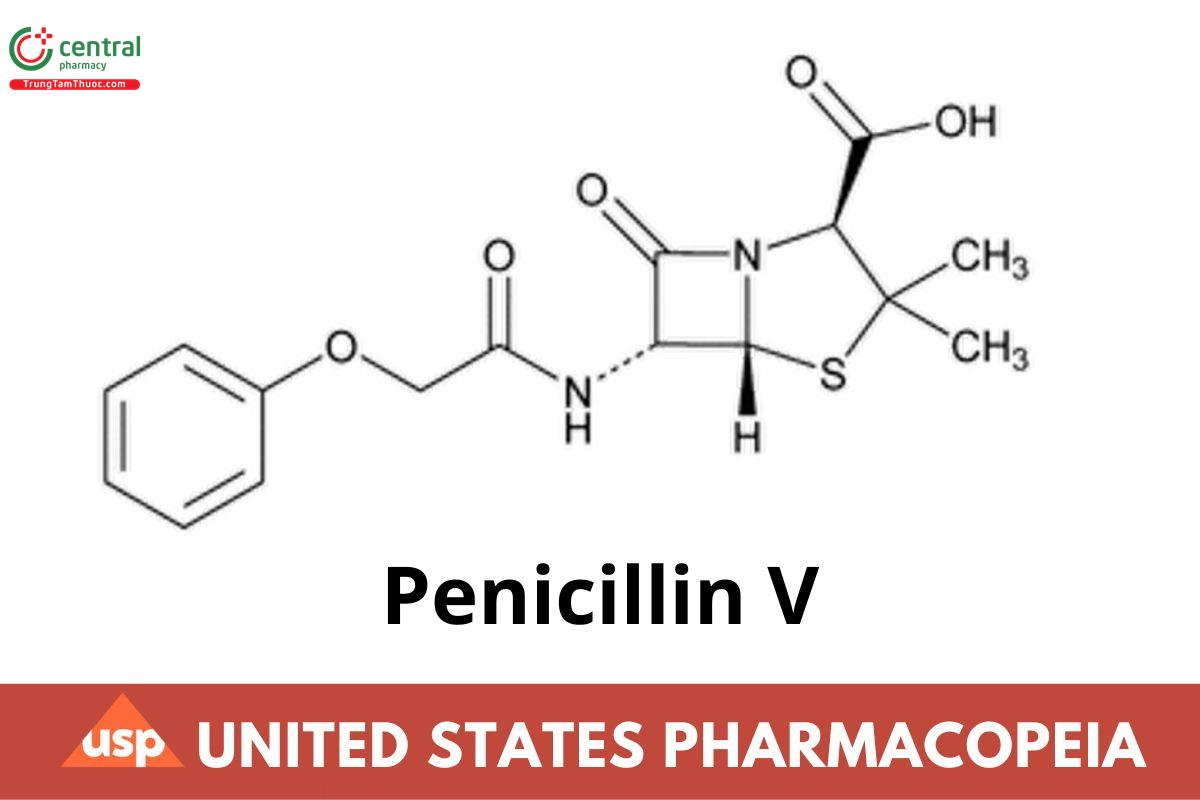 Penicillin V
