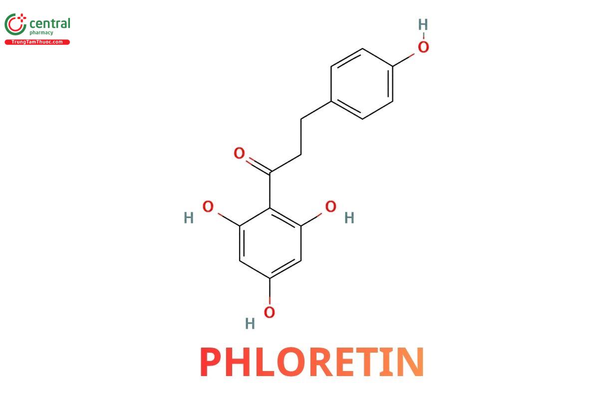 Phloretin