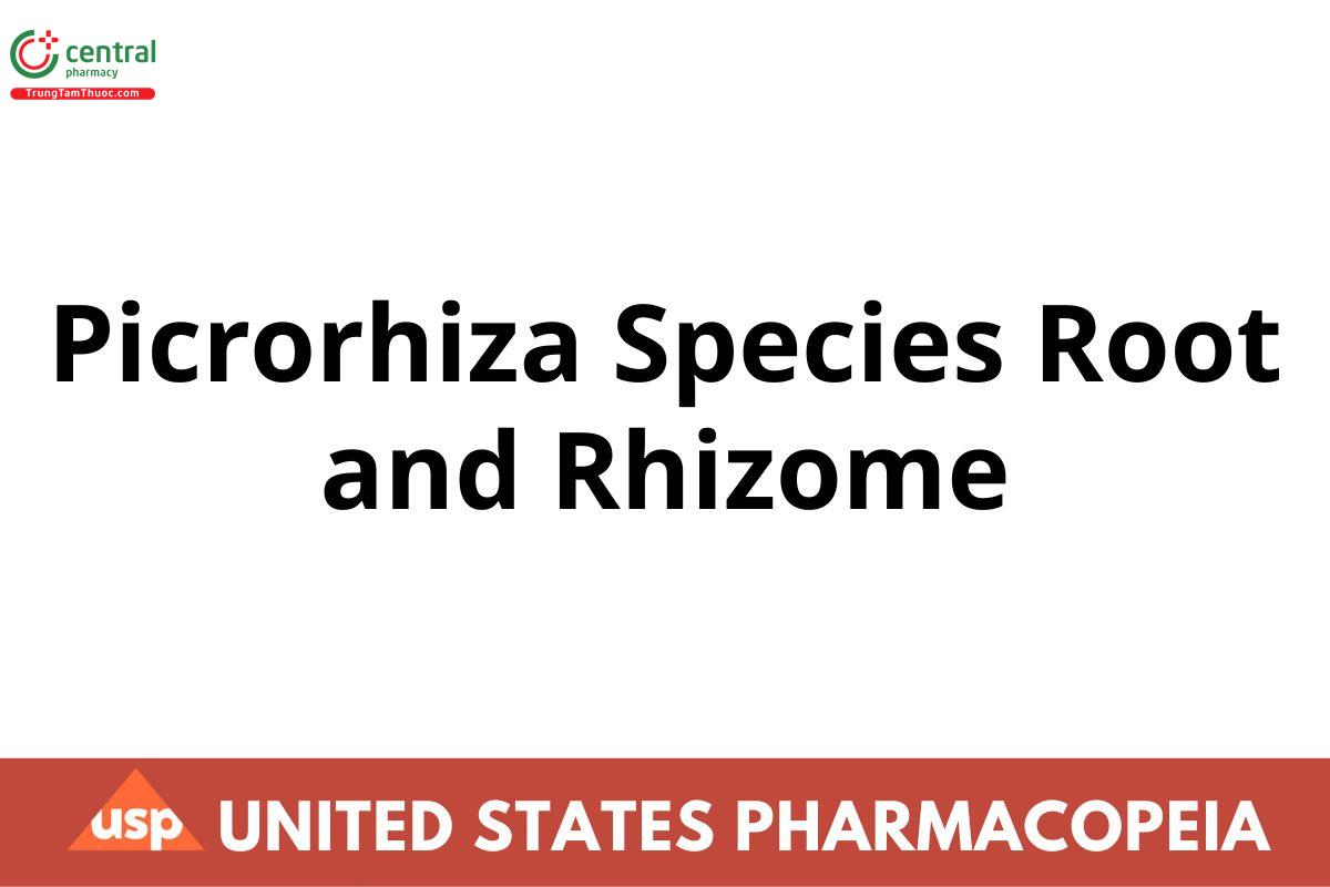 Picrorhiza Species Root and Rhizome