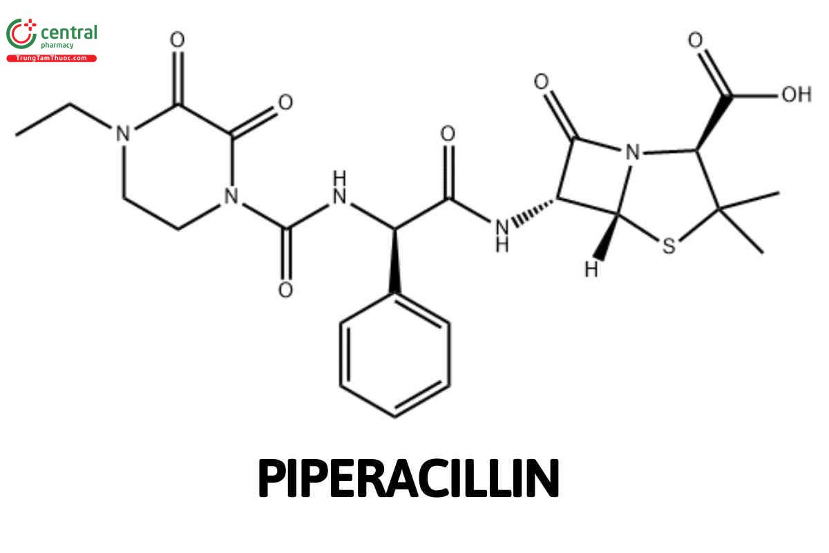 Piperacillin