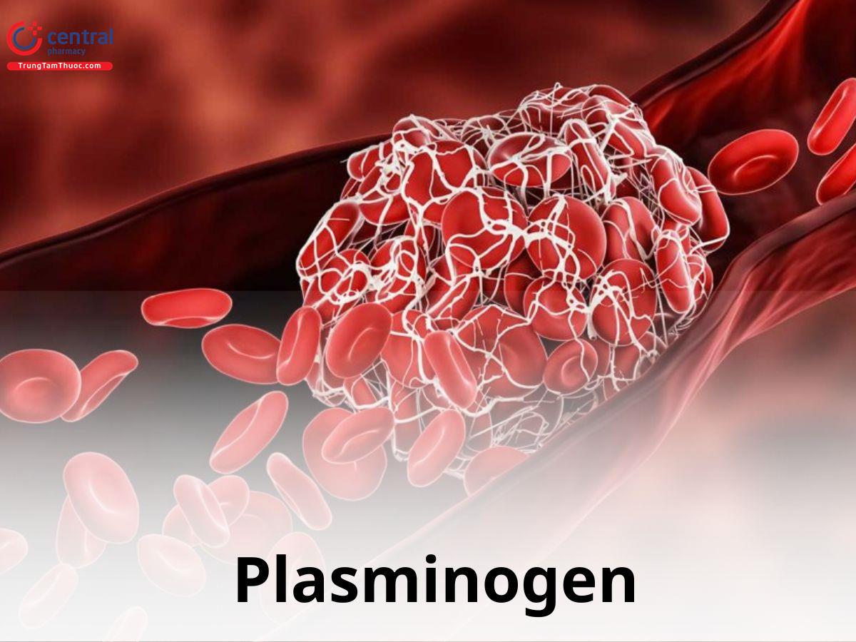 Plasminogen 