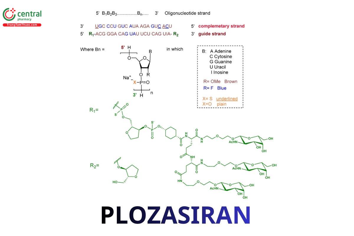 Plozasiran