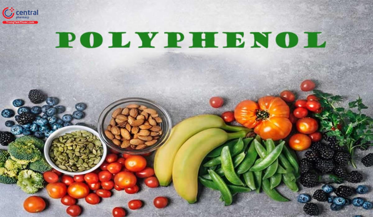 Polyphenol