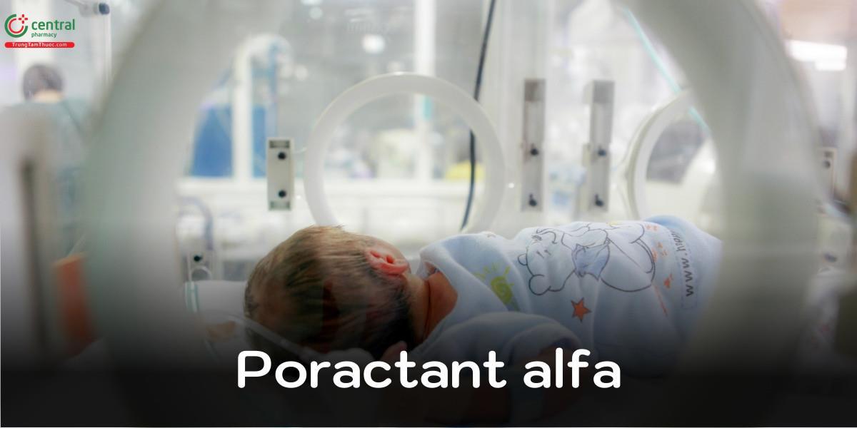 Poractant alfa (Curosurf)