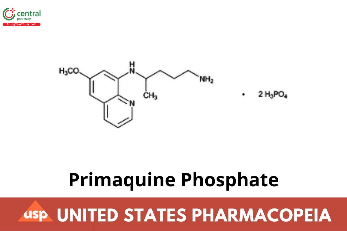 Primaquine Phosphate
