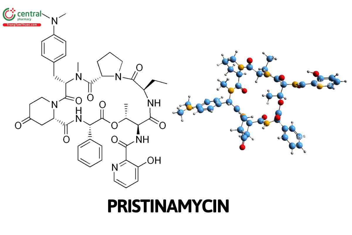 Pristinamycin