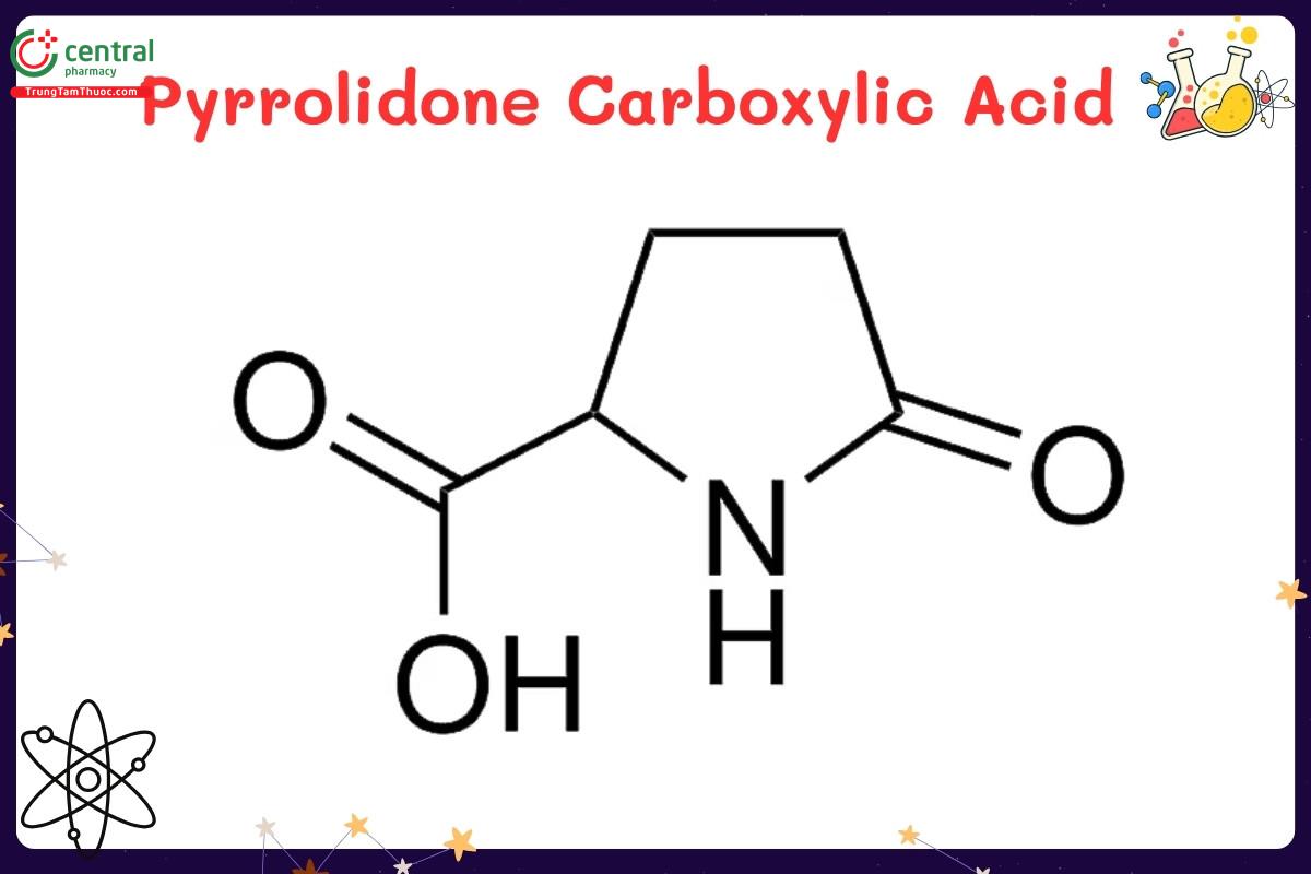 Pyrrolidone Carboxylic Acid (Pyroglutamic acid)
