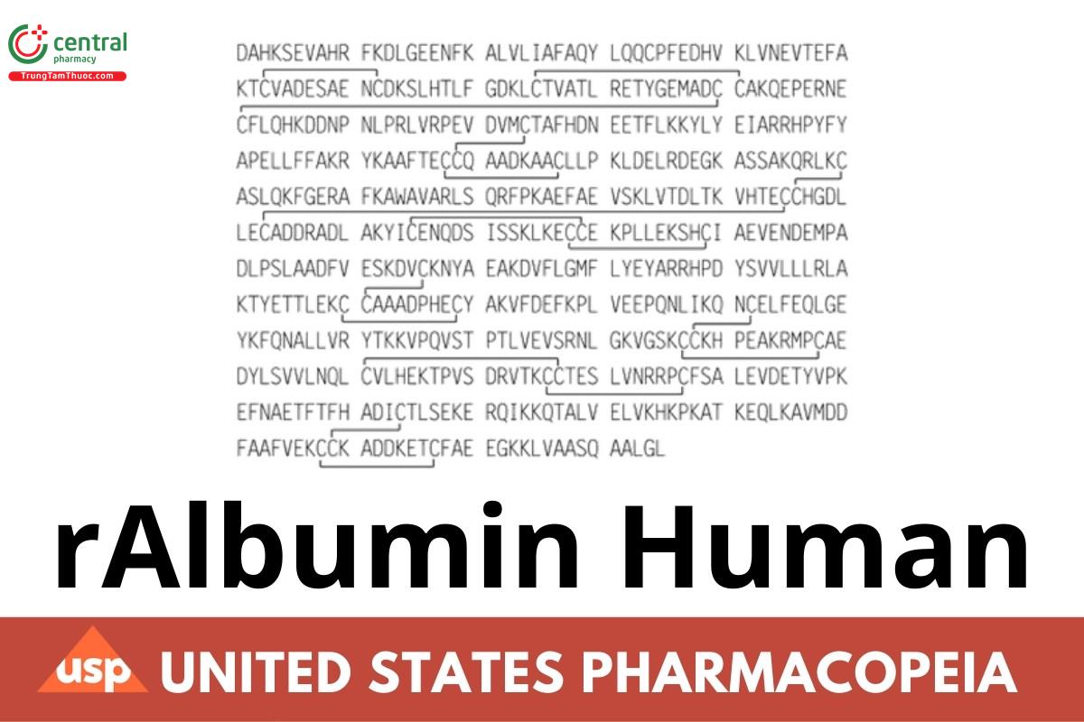 rAlbumin Human