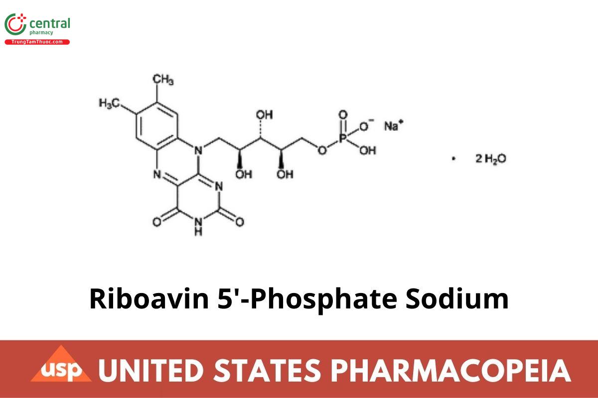 Riboavin 5′-Phosphate Sodium