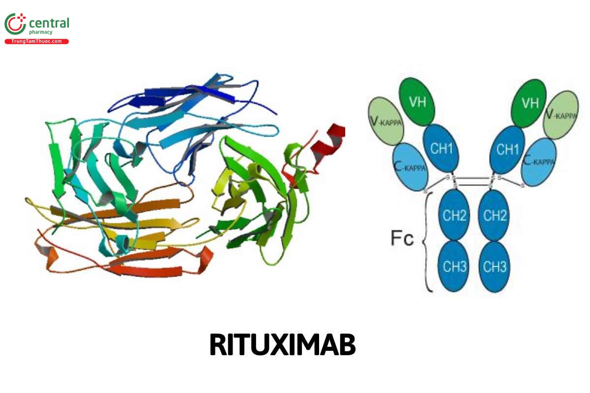 Rituximab