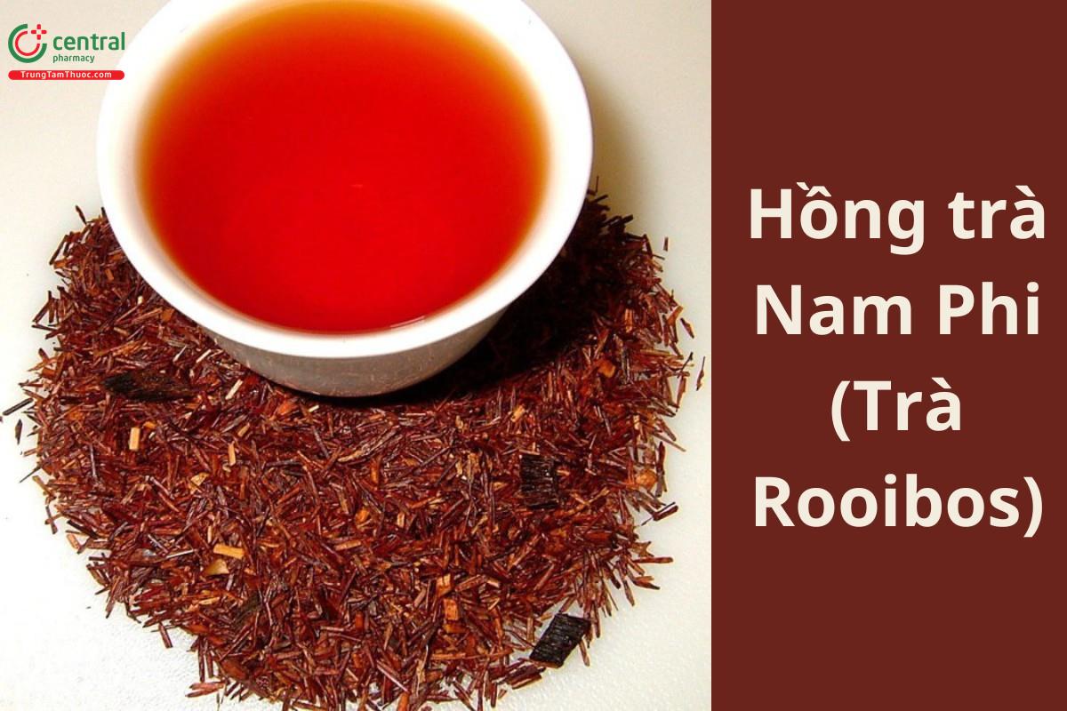 Hồng trà Nam Phi (Trà Rooibos, Rooibos Tea)