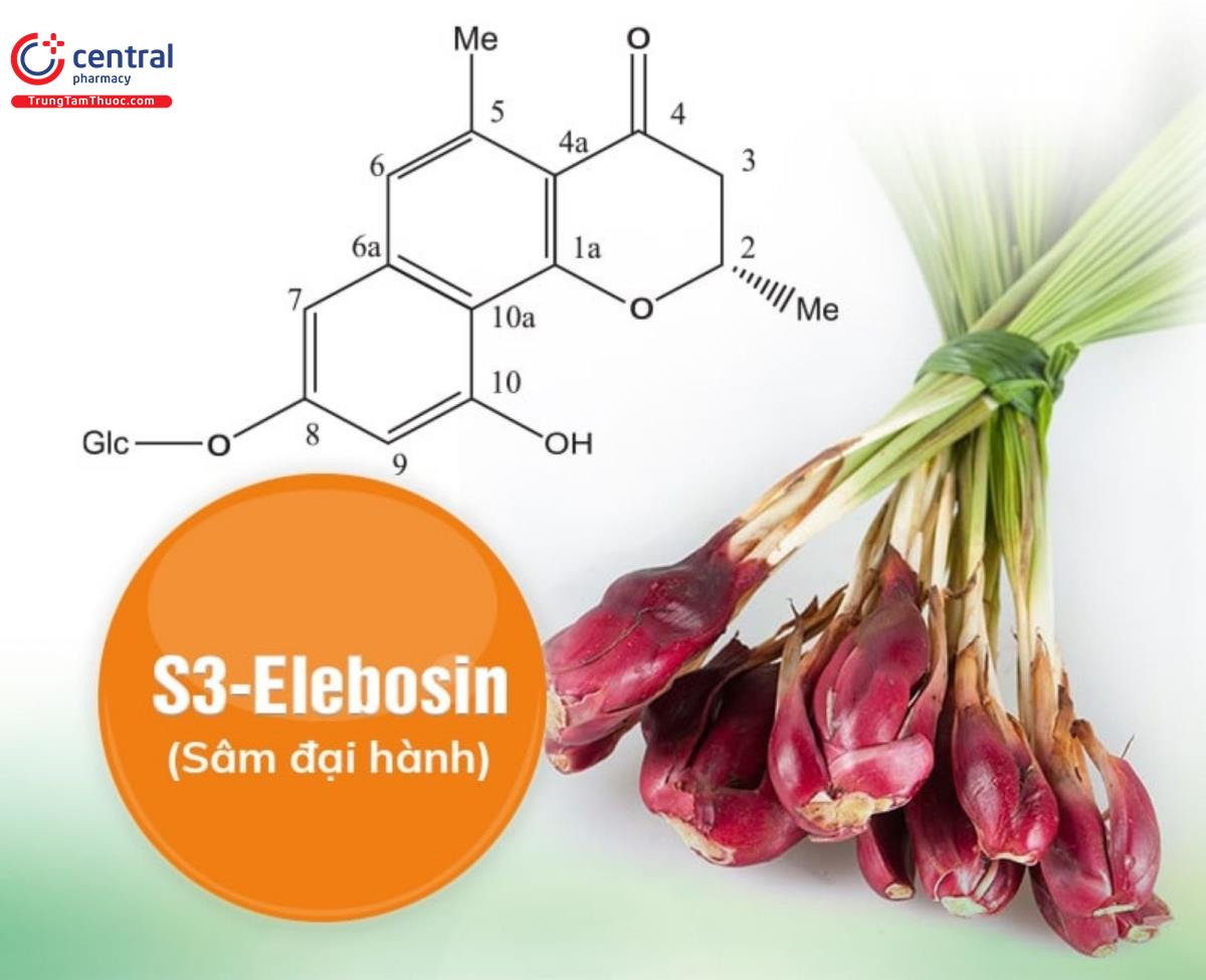 S3-Elebosin