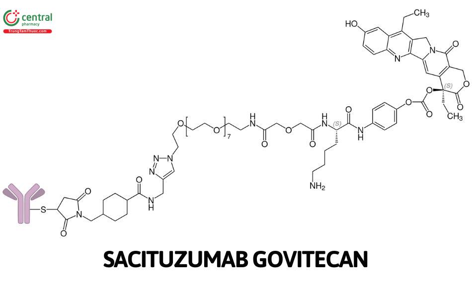 Sacituzumab govitecan