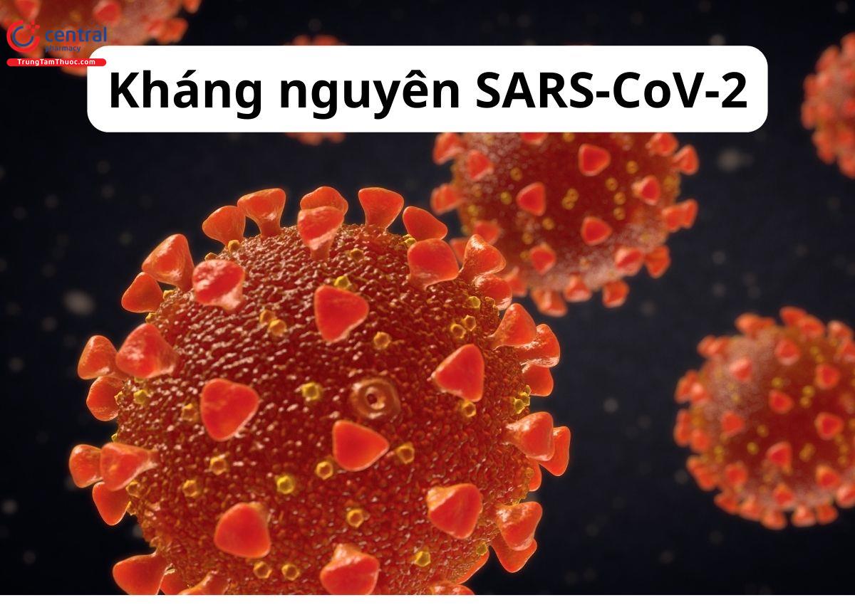 Kháng Nguyên SARS-CoV-2