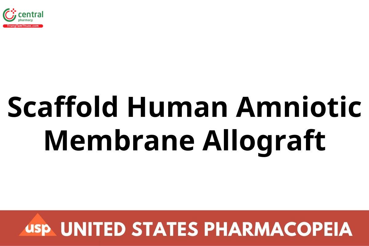 Scaffold Human Amniotic Membrane Allograft