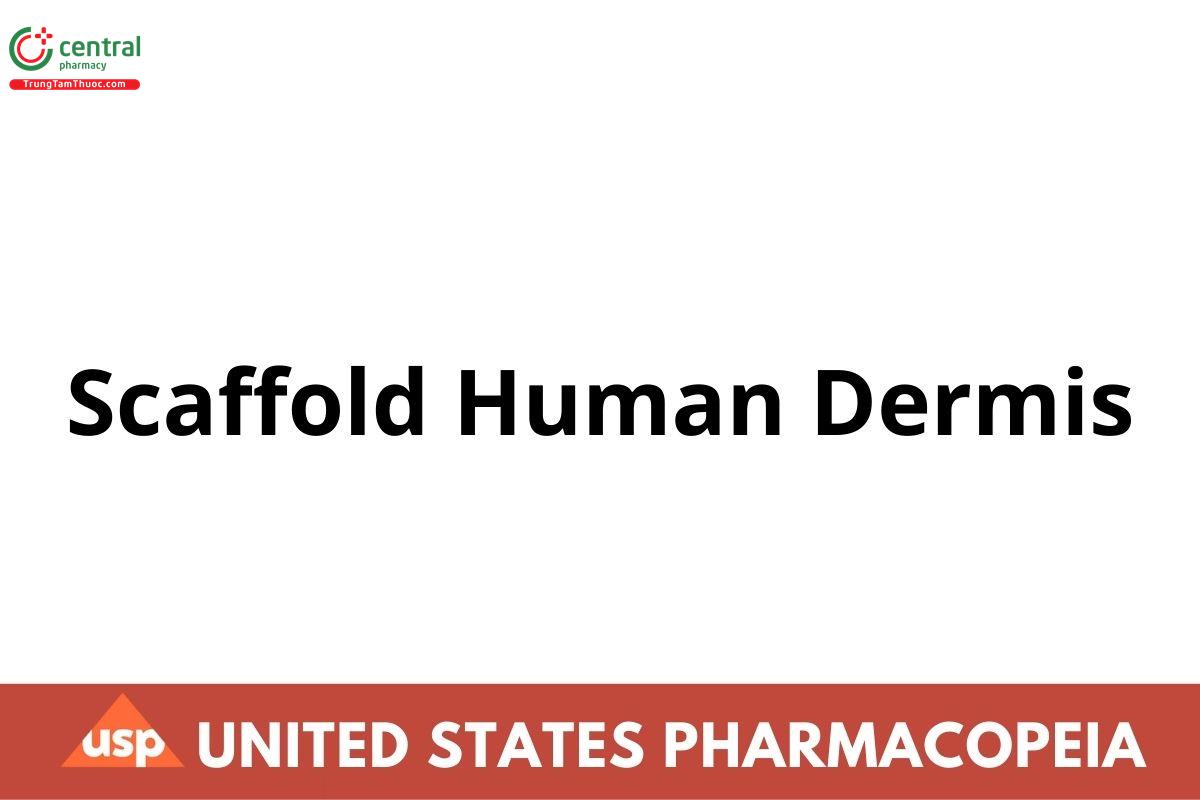 Scaffold Human Dermis