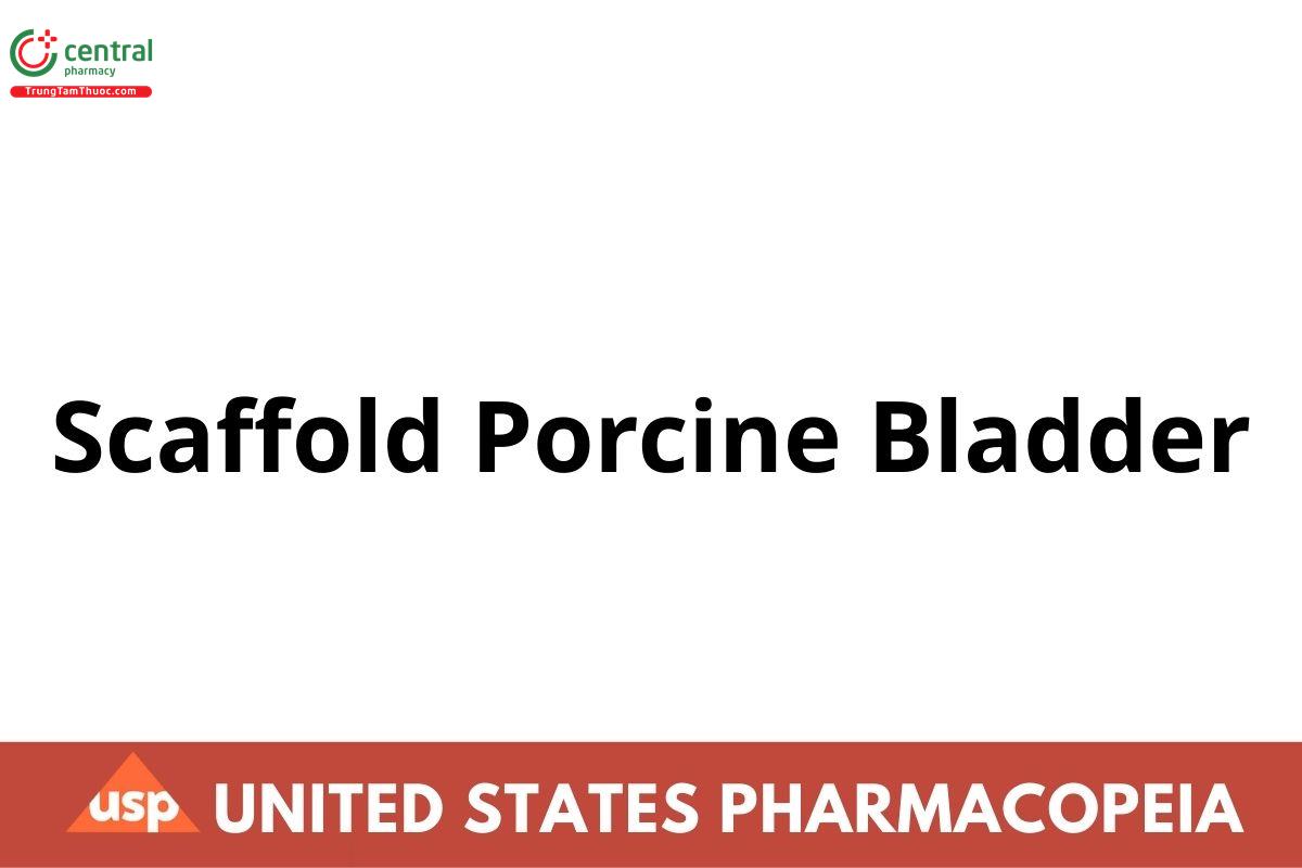 Scaffold Porcine Bladder
